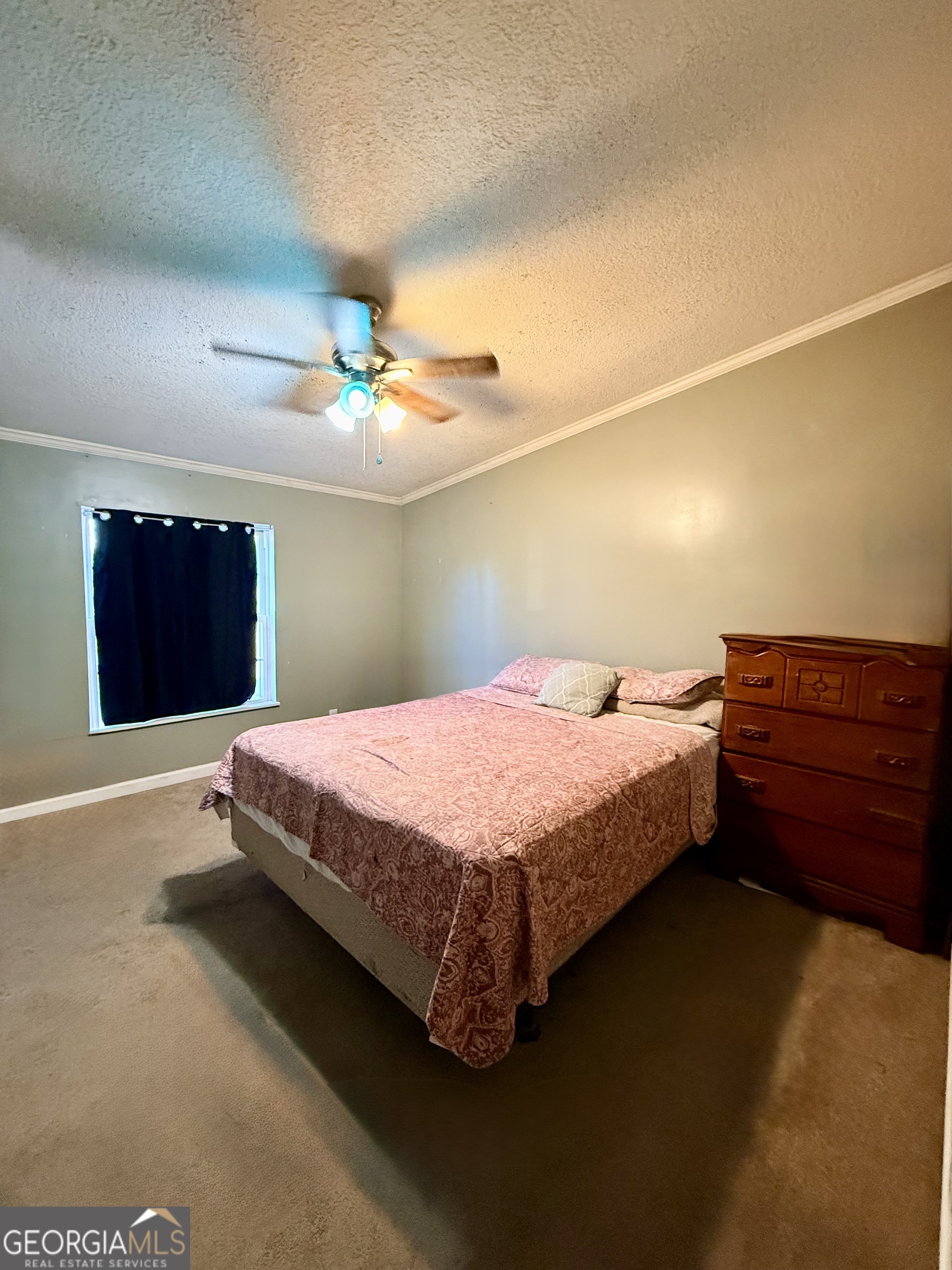5817 Cantrell Road Patterson GA 31557