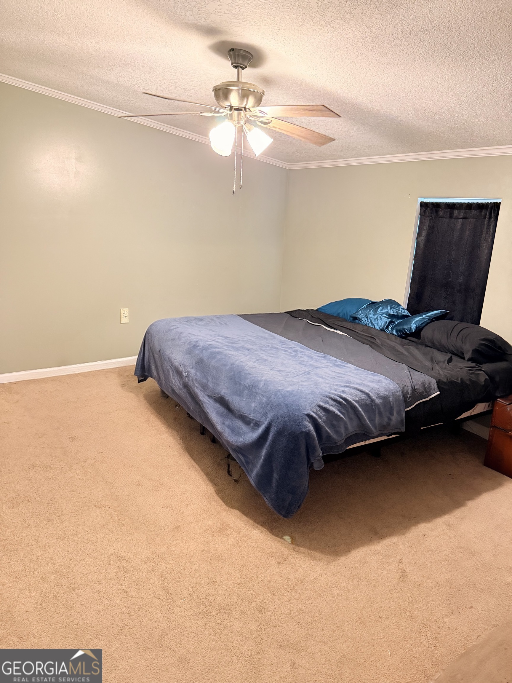 5817 Cantrell Road Patterson GA 31557