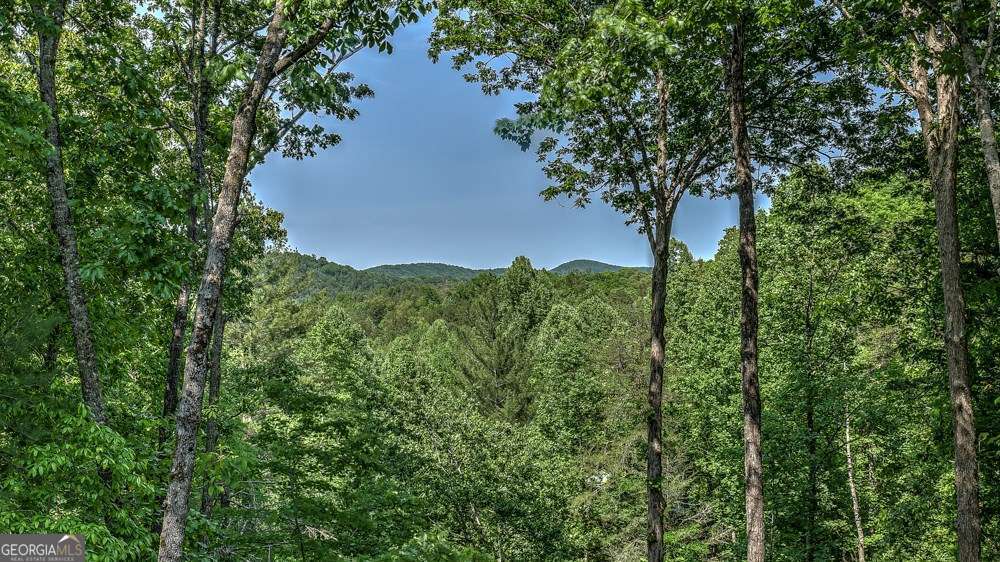 155 Shayla Drive Blue Ridge GA 30513