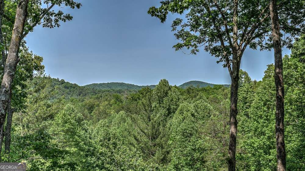 155 Shayla Drive Blue Ridge GA 30513