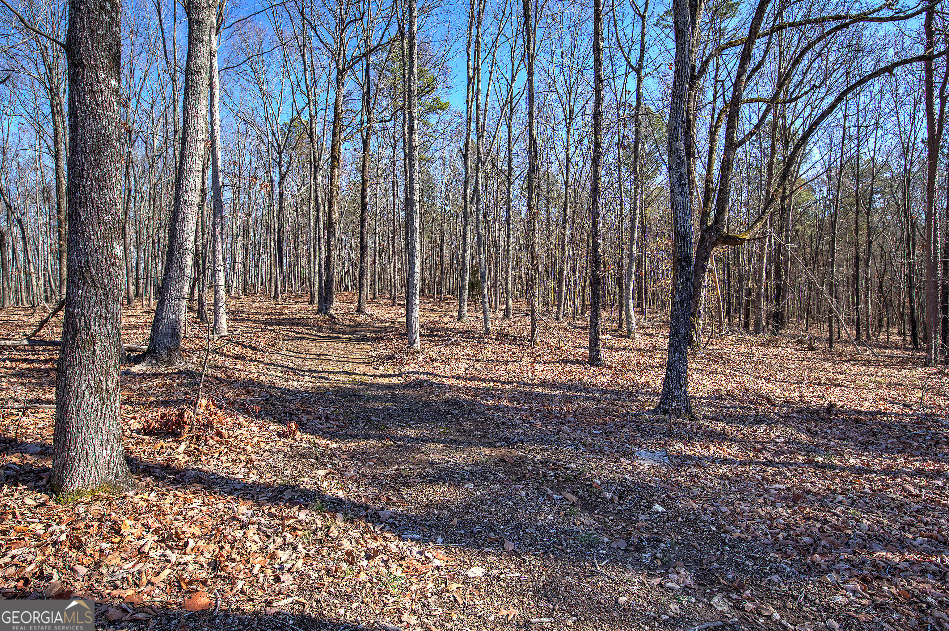676 Flowery Branch Road Kingston GA 30145