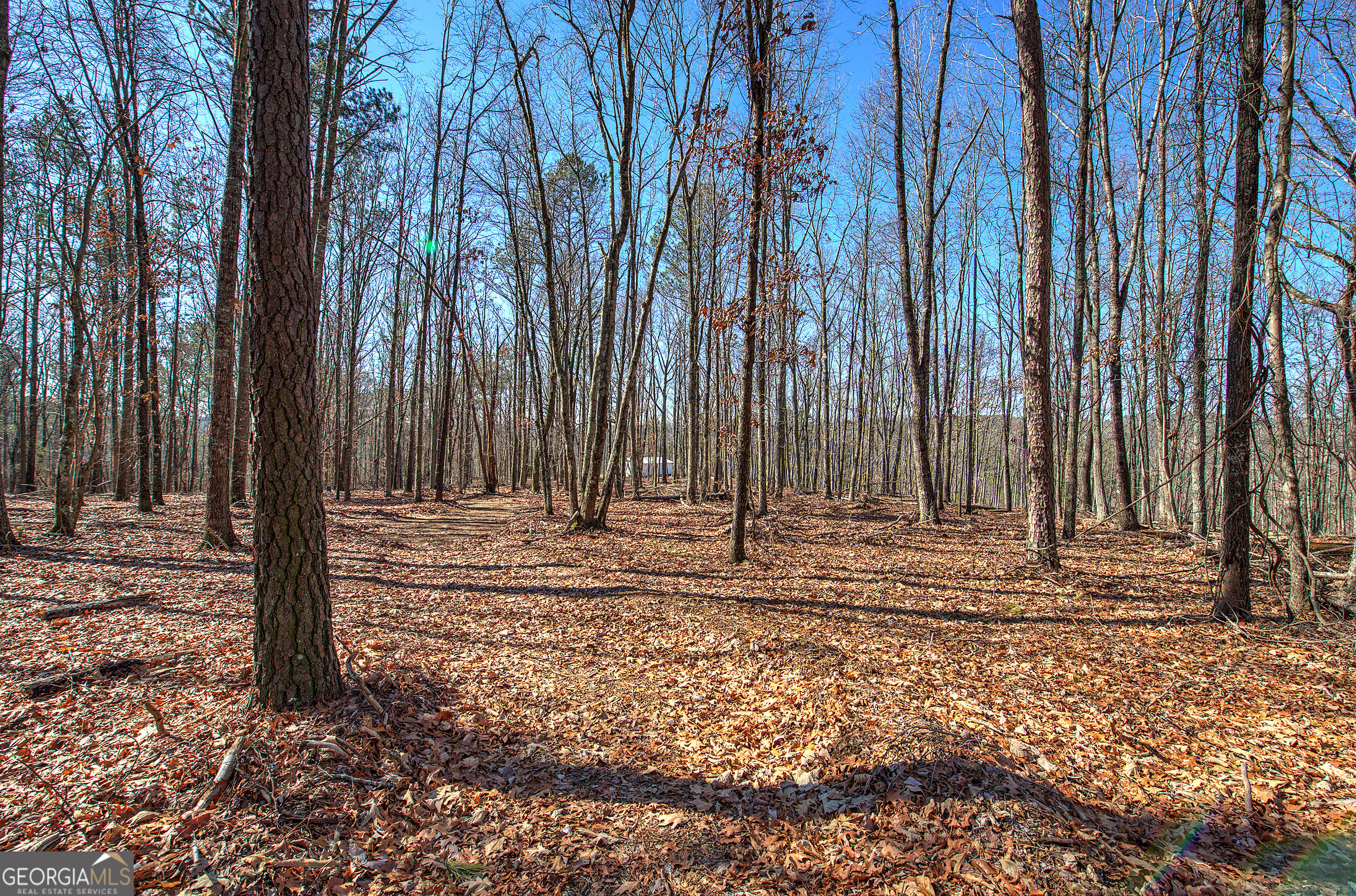 676 Flowery Branch Road Kingston GA 30145