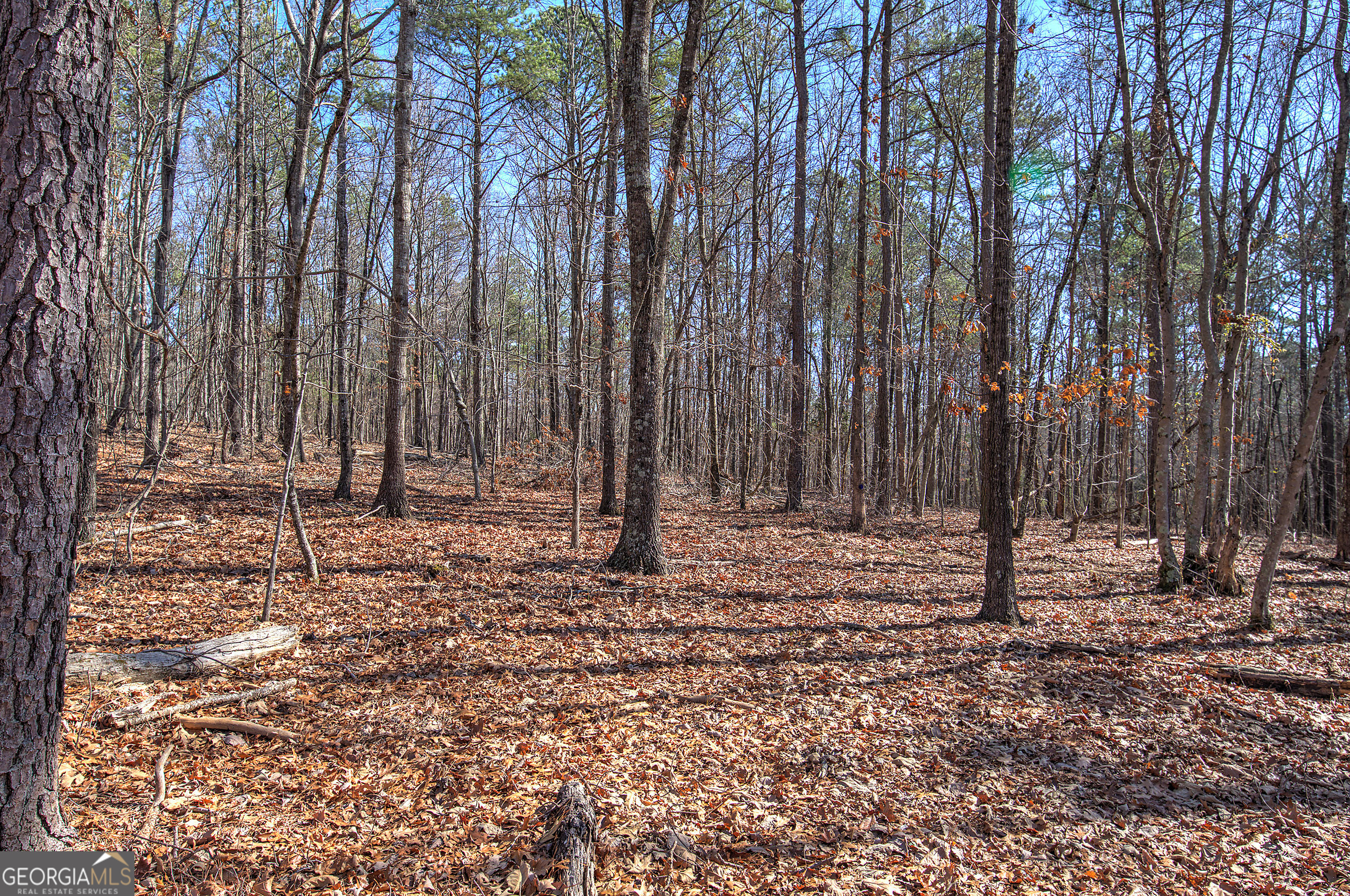 676 Flowery Branch Road Kingston GA 30145