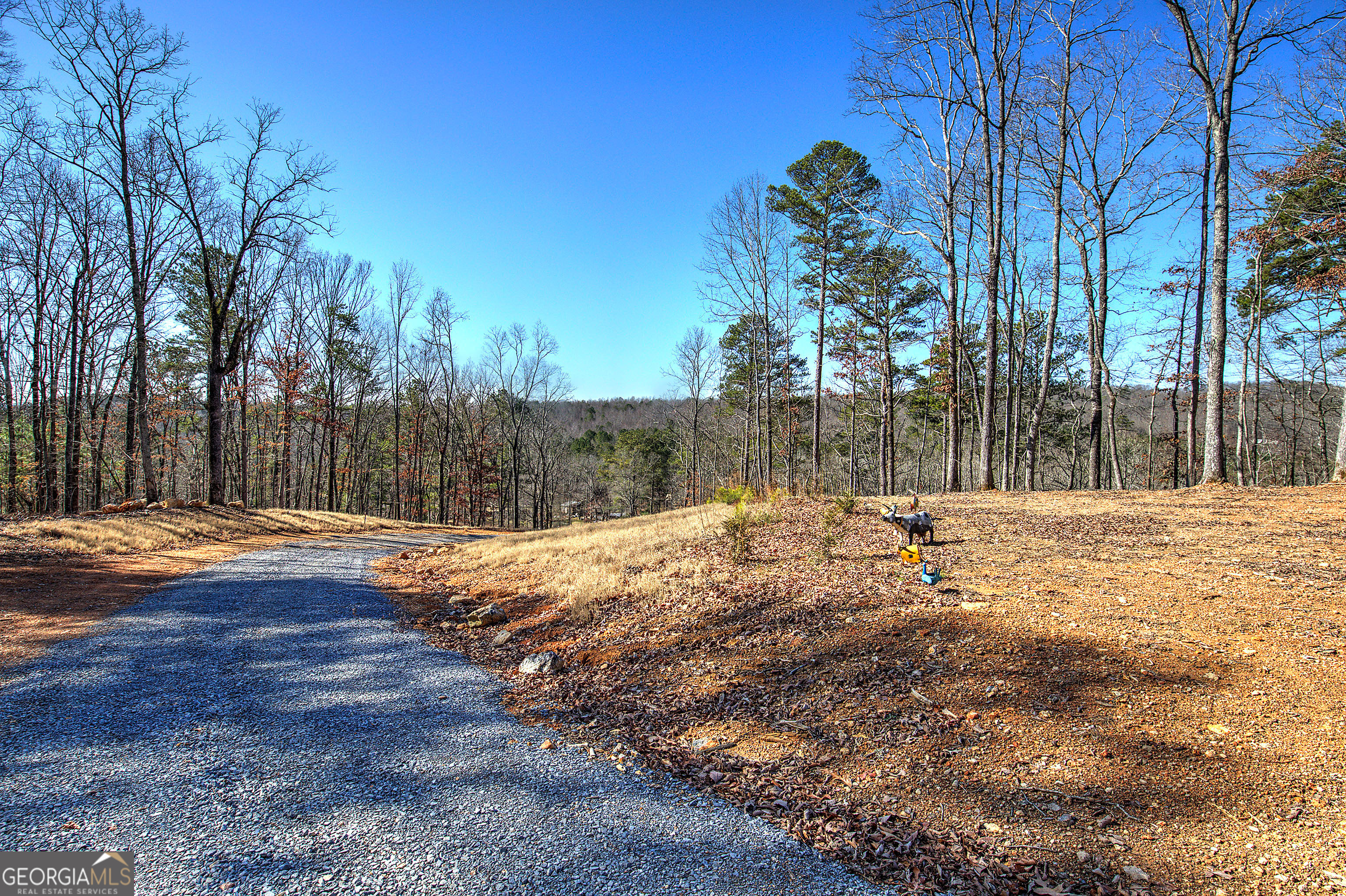 676 Flowery Branch Road Kingston GA 30145