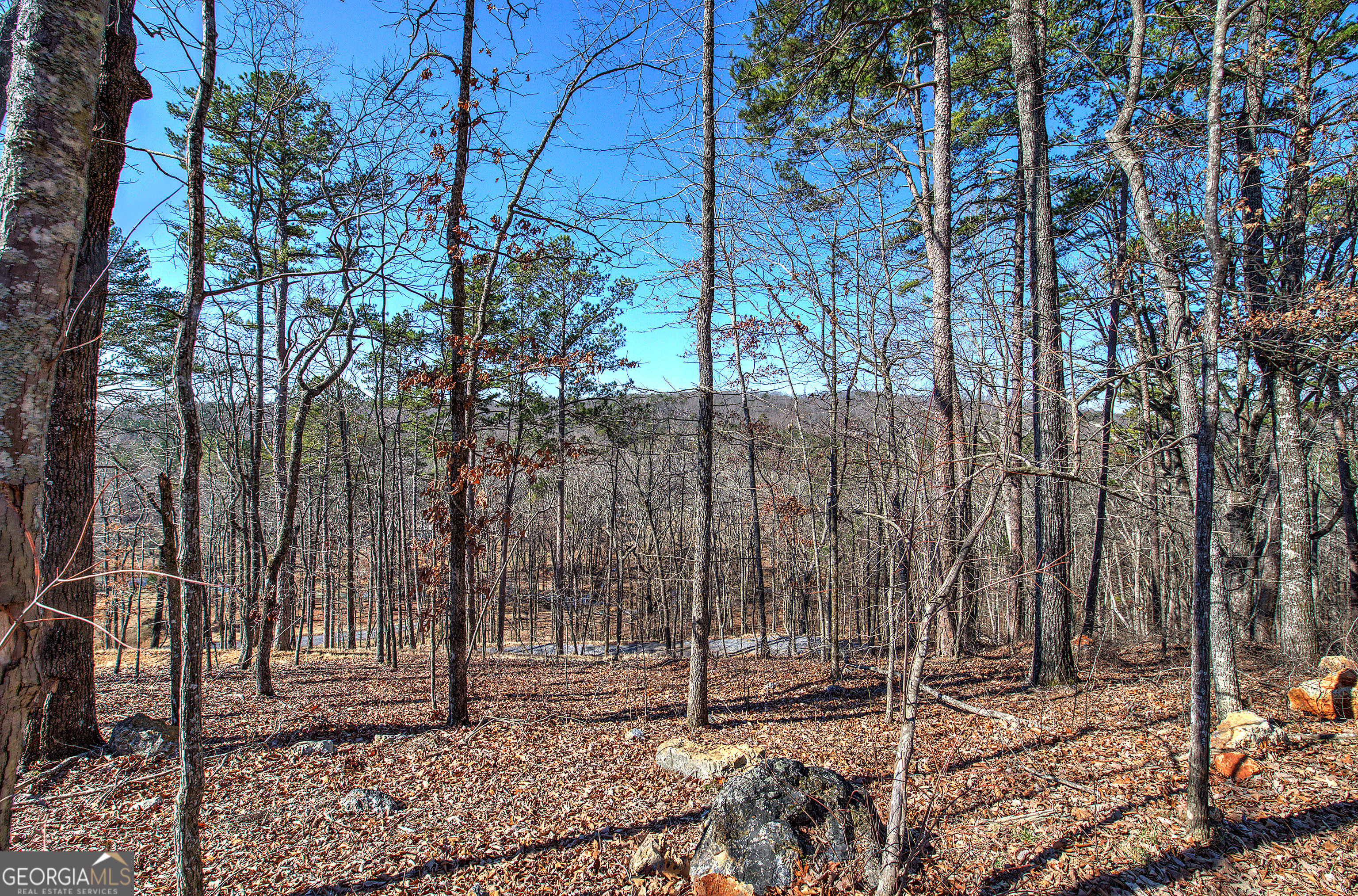676 Flowery Branch Road Kingston GA 30145