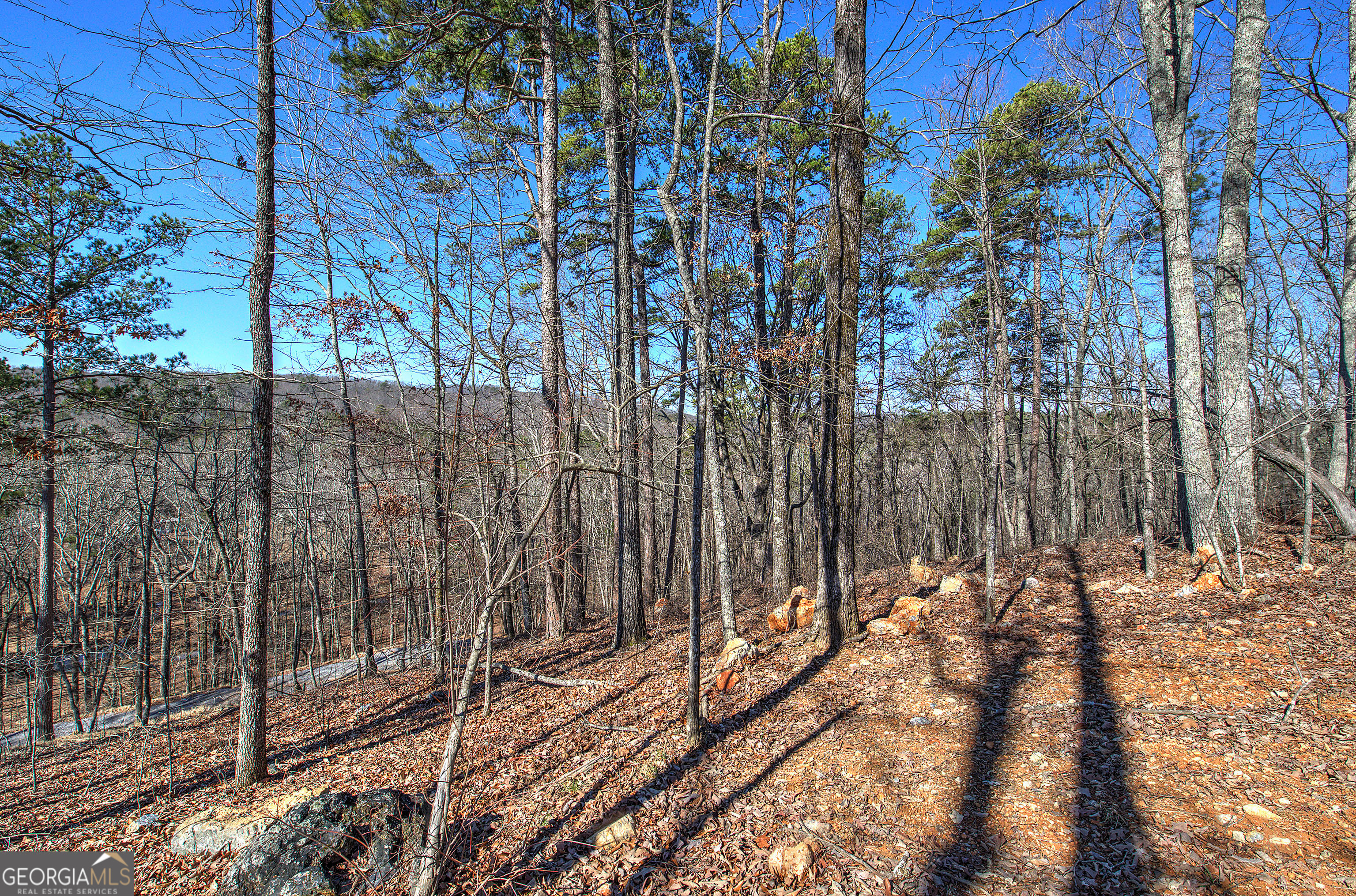 676 Flowery Branch Road Kingston GA 30145