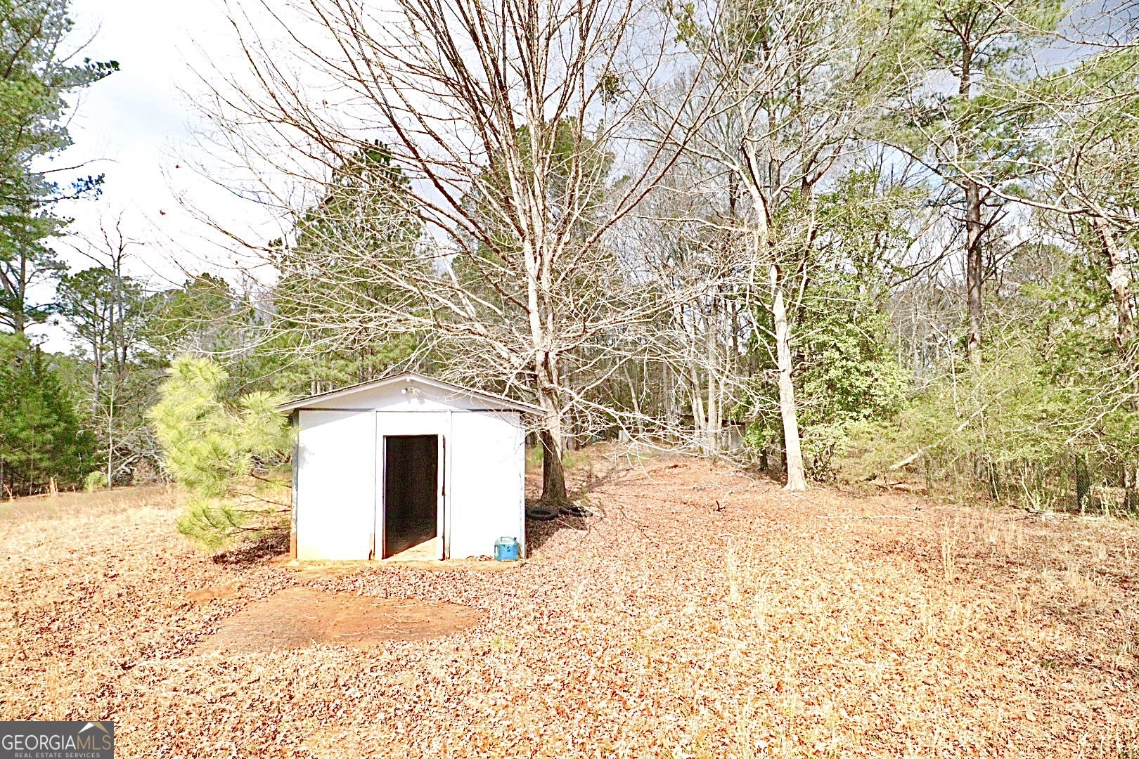 1815 S Ola Road Locust Grove GA 30248