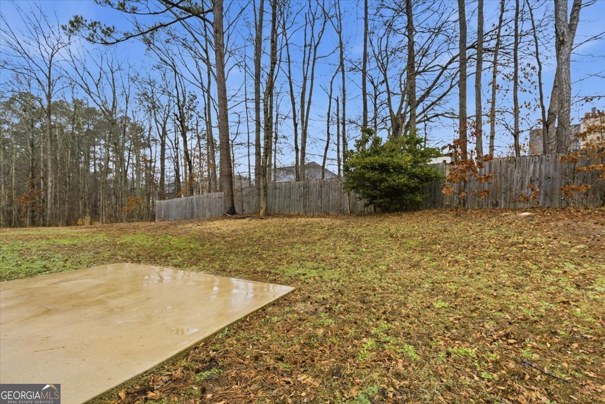 423 Pearson Circle Hampton GA 30228