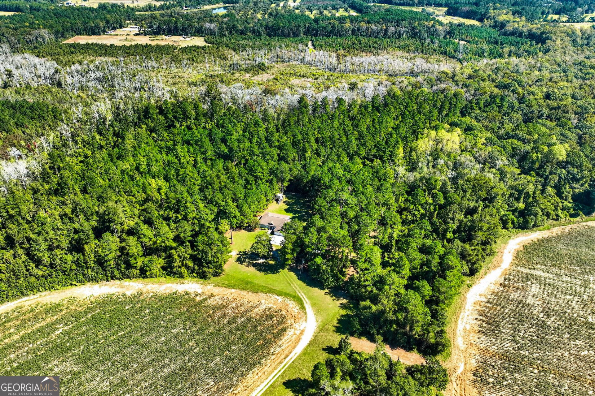 97 Jeni Wright Lane Brooklet GA 30415