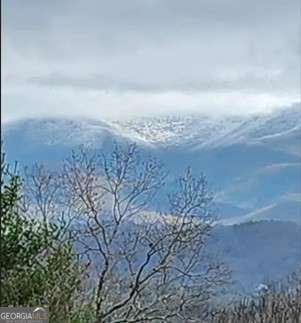 1900 Long Ridge Road Hiawassee GA 30546