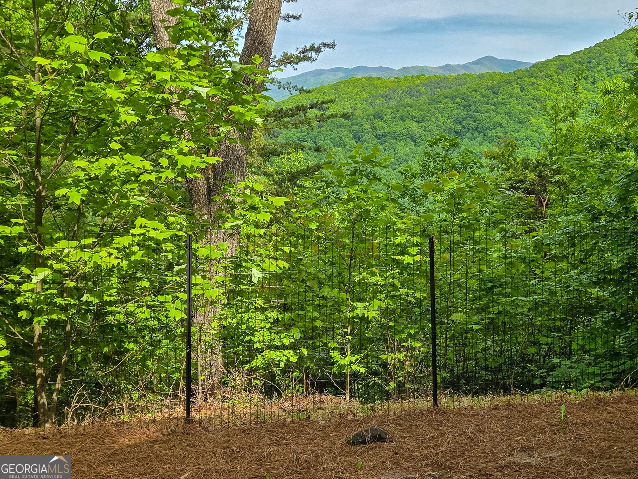 1900 Long Ridge Road Hiawassee GA 30546