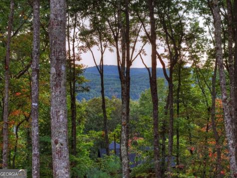 357 Spring Ridge Trail Morganton GA 30560