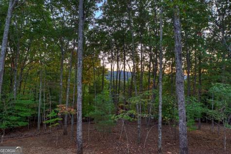 357 Spring Ridge Trail Morganton GA 30560
