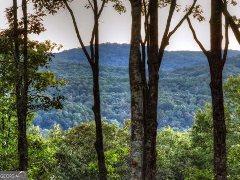 357 Spring Ridge Trail Morganton GA 30560