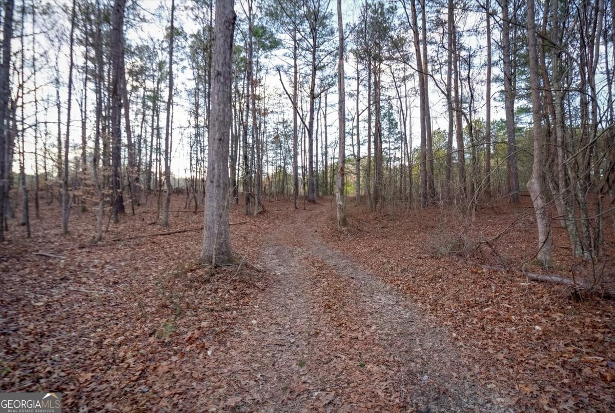 145 Moores Ferry Drive SW Plainville GA 30733