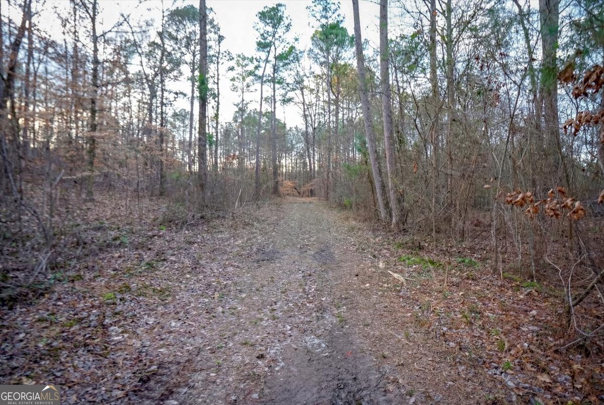 145 Moores Ferry Drive SW Plainville GA 30733