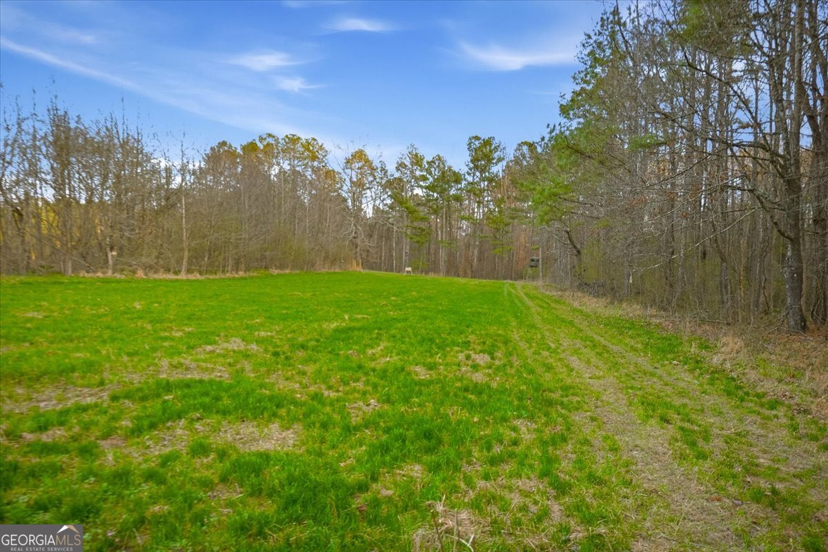 145 Moores Ferry Drive SW Plainville GA 30733