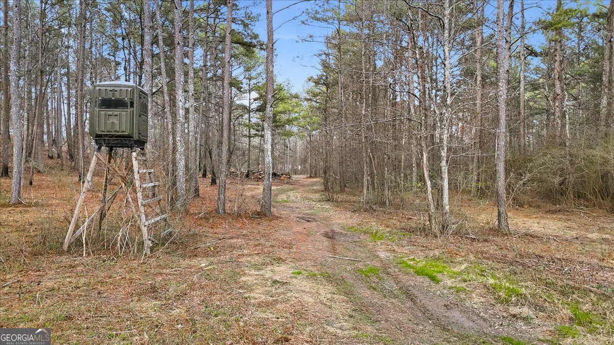145 Moores Ferry Drive SW Plainville GA 30733