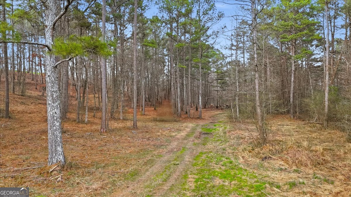 145 Moores Ferry Drive SW Plainville GA 30733