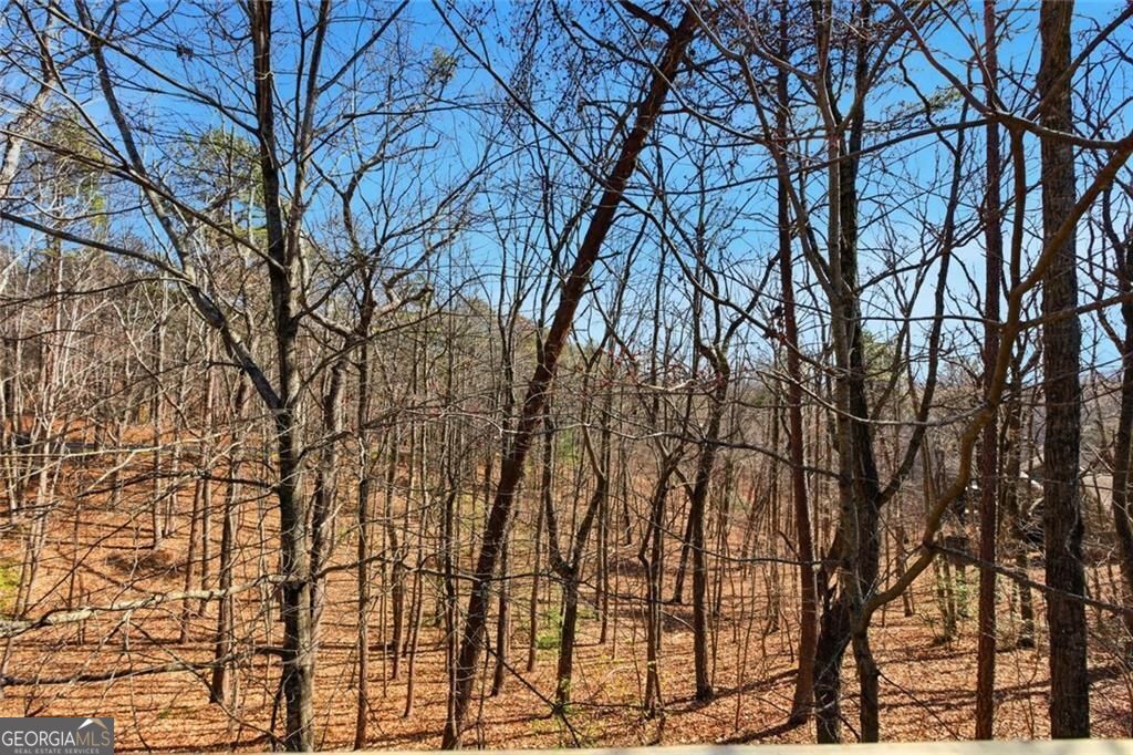 15 Wedgewood Drive Jasper GA 30143