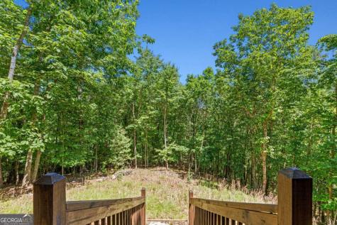 801 Davenport Mountain Road Blue Ridge GA 30513