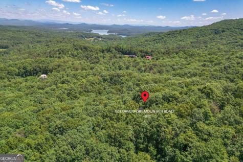 801 Davenport Mountain Road Blue Ridge GA 30513
