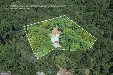 801 Davenport Mountain Road Blue Ridge GA 30513