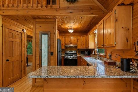 801 Davenport Mountain Road Blue Ridge GA 30513