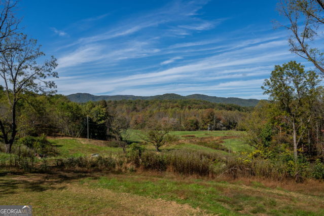 7590 Mobile Road Blue Ridge GA 30513