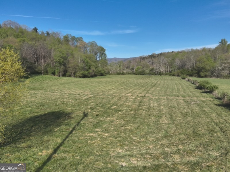 7590 Mobile Road Blue Ridge GA 30513