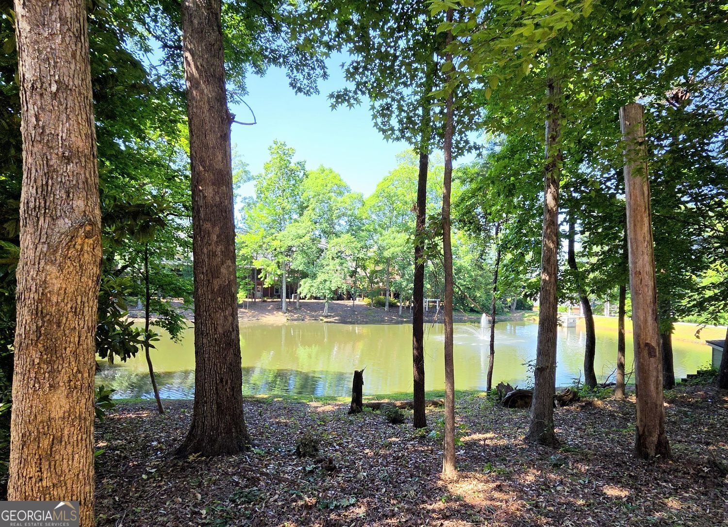 1707 Waters Edge Trail Roswell GA 30075