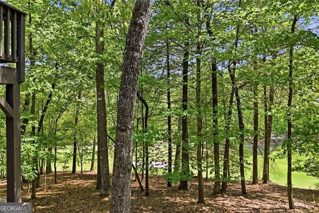 67 Chestnut Knoll Court Jasper GA 30143