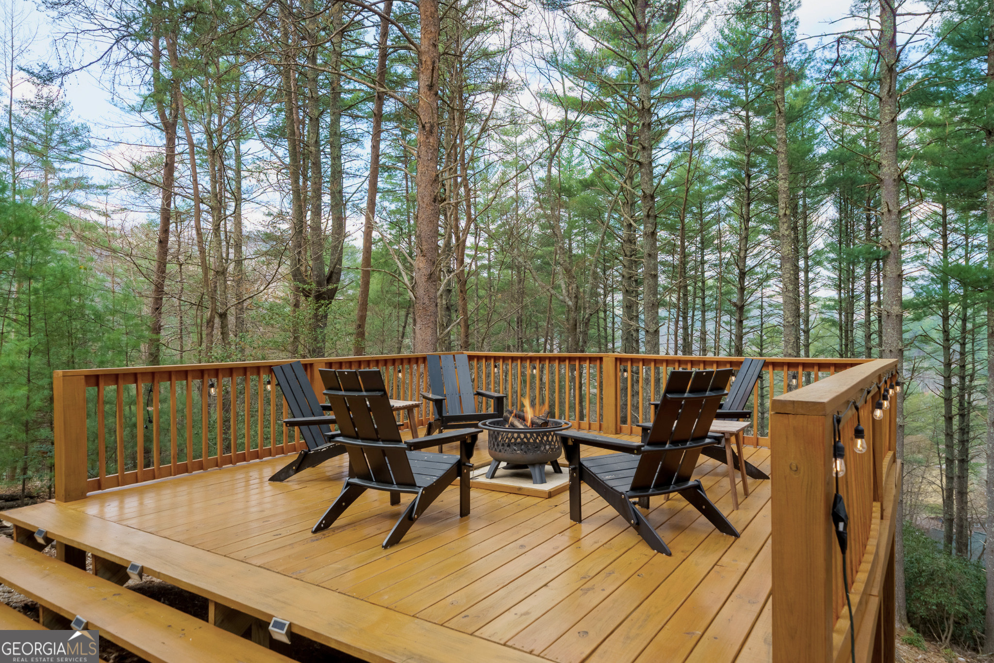 188 The Forest Road Blue Ridge GA 30513