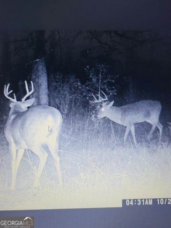 1095 Jacksonville Highway Fitzgerald GA 31750