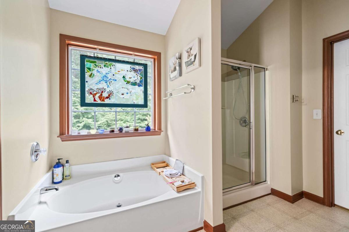 3725 Roxwood Park Drive Buford GA 30518