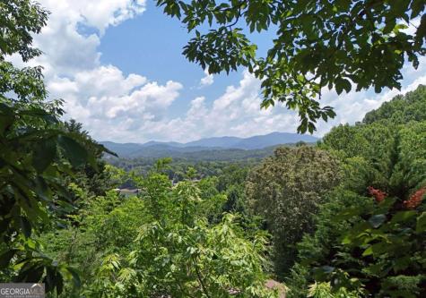714 Mountain View Road Hiawassee GA 30546
