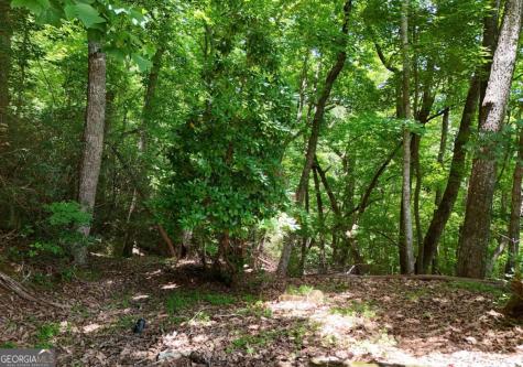 714 Mountain View Road Hiawassee GA 30546