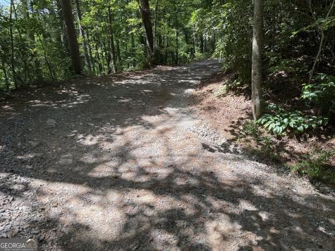 204 Dover Chapel Terrace Ellijay GA 30540