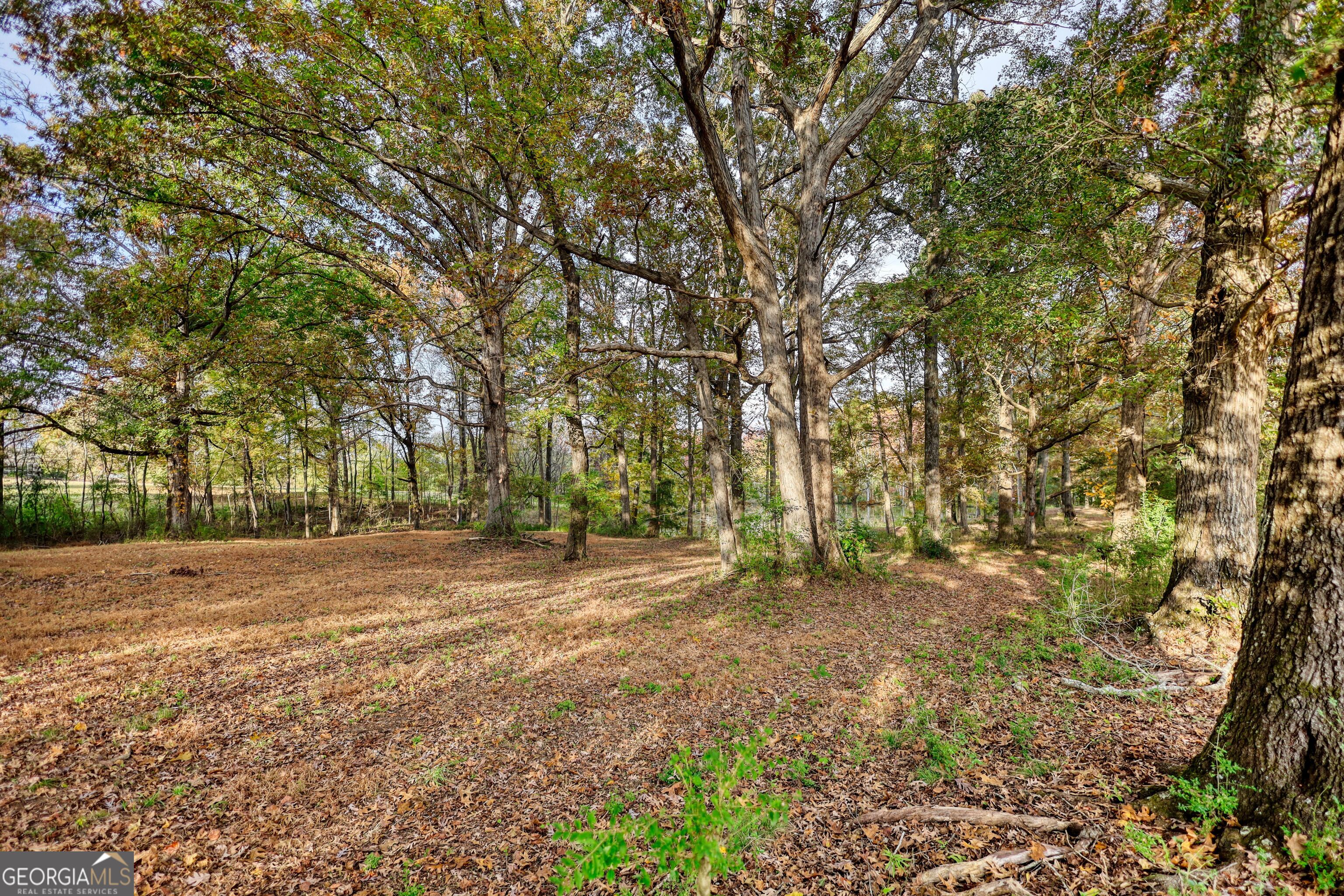 131 Upchurch Drive Mcdonough GA 30252