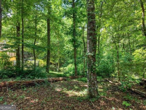 14 B Breezewood Village Hiawassee GA 30546