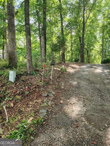 14 B Breezewood Village Hiawassee GA 30546