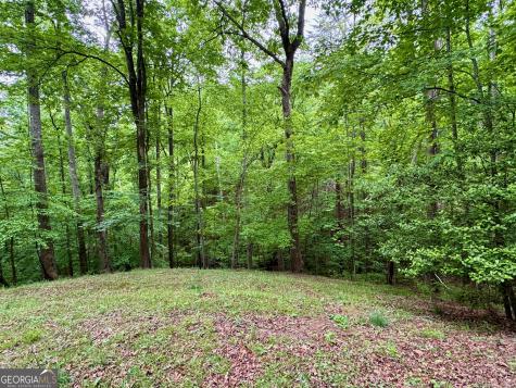 111 Ridgeview Court Dahlonega GA 30533