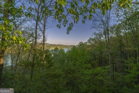 2814 & 2816 Laurel Lodge Road Clarkesville GA 30523