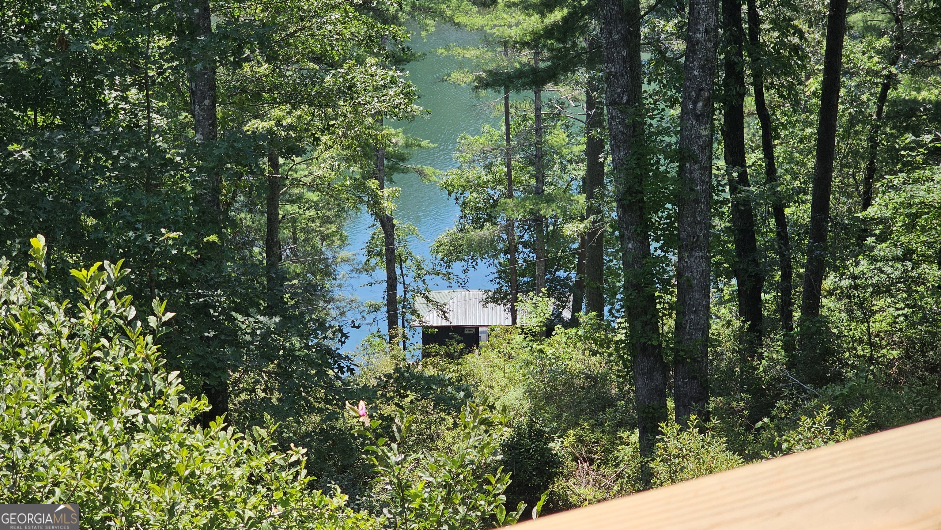 1799 Seed Lake Road Lakemont GA 30552