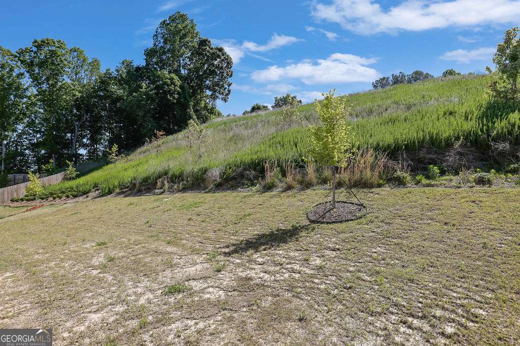 78 Shadwood Place Dawsonville GA 30534