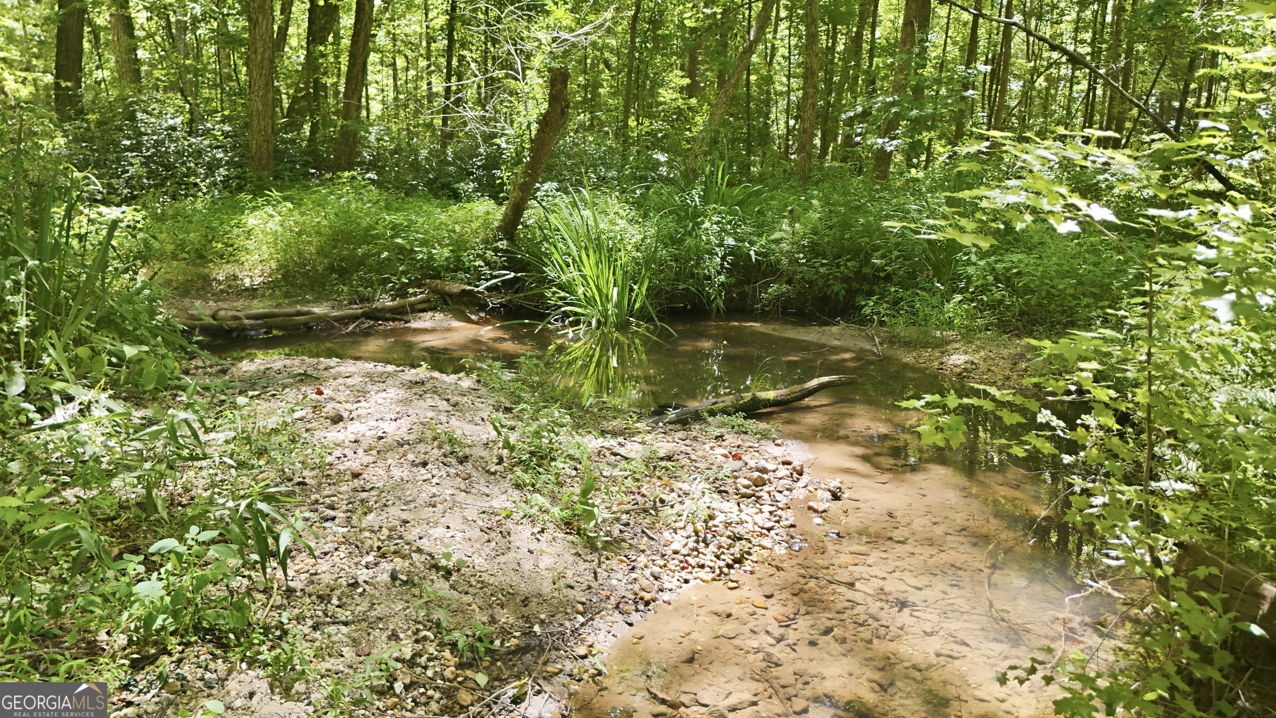 527 Jim Carter Road Clarkesville GA 30523