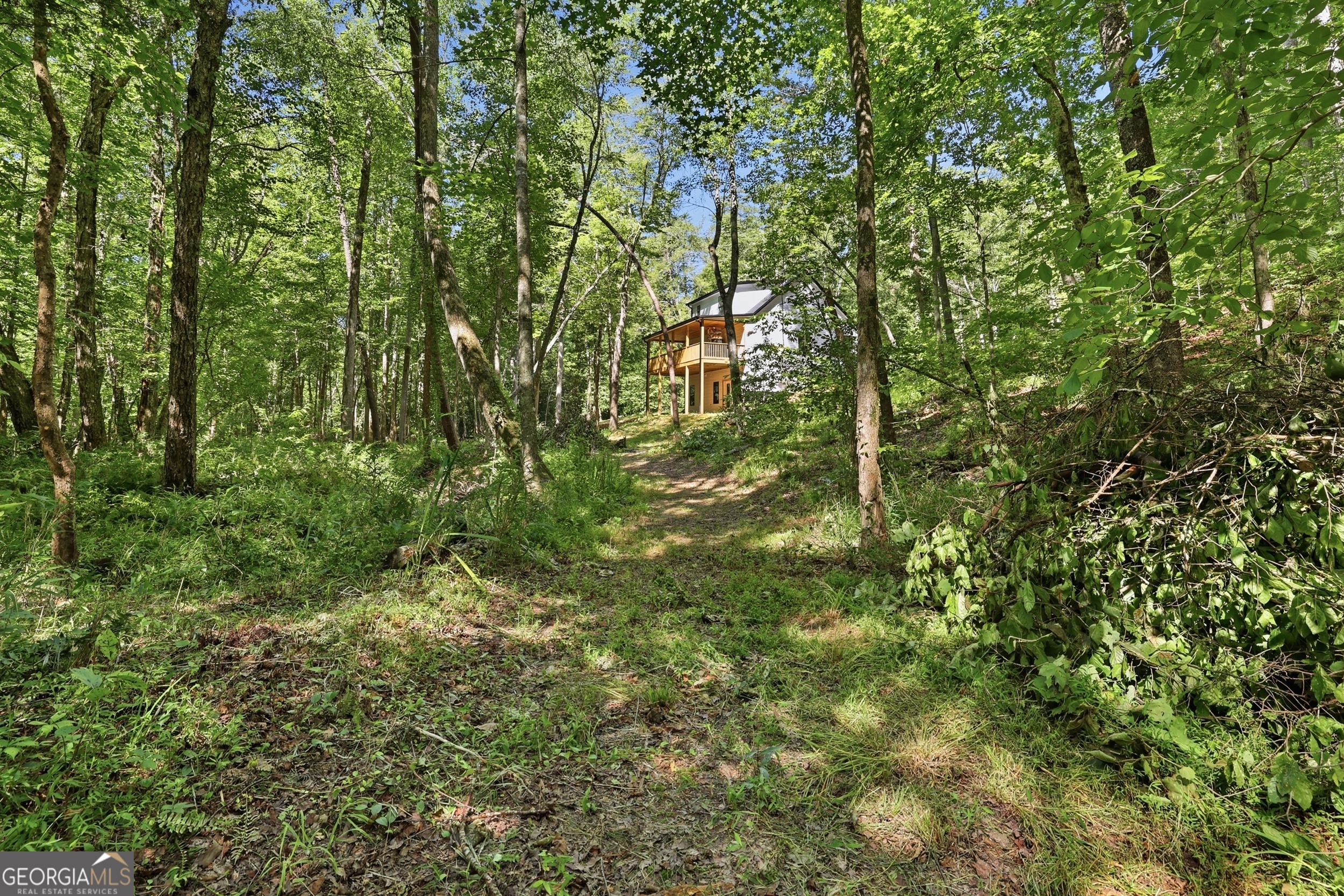 527 Jim Carter Road Clarkesville GA 30523