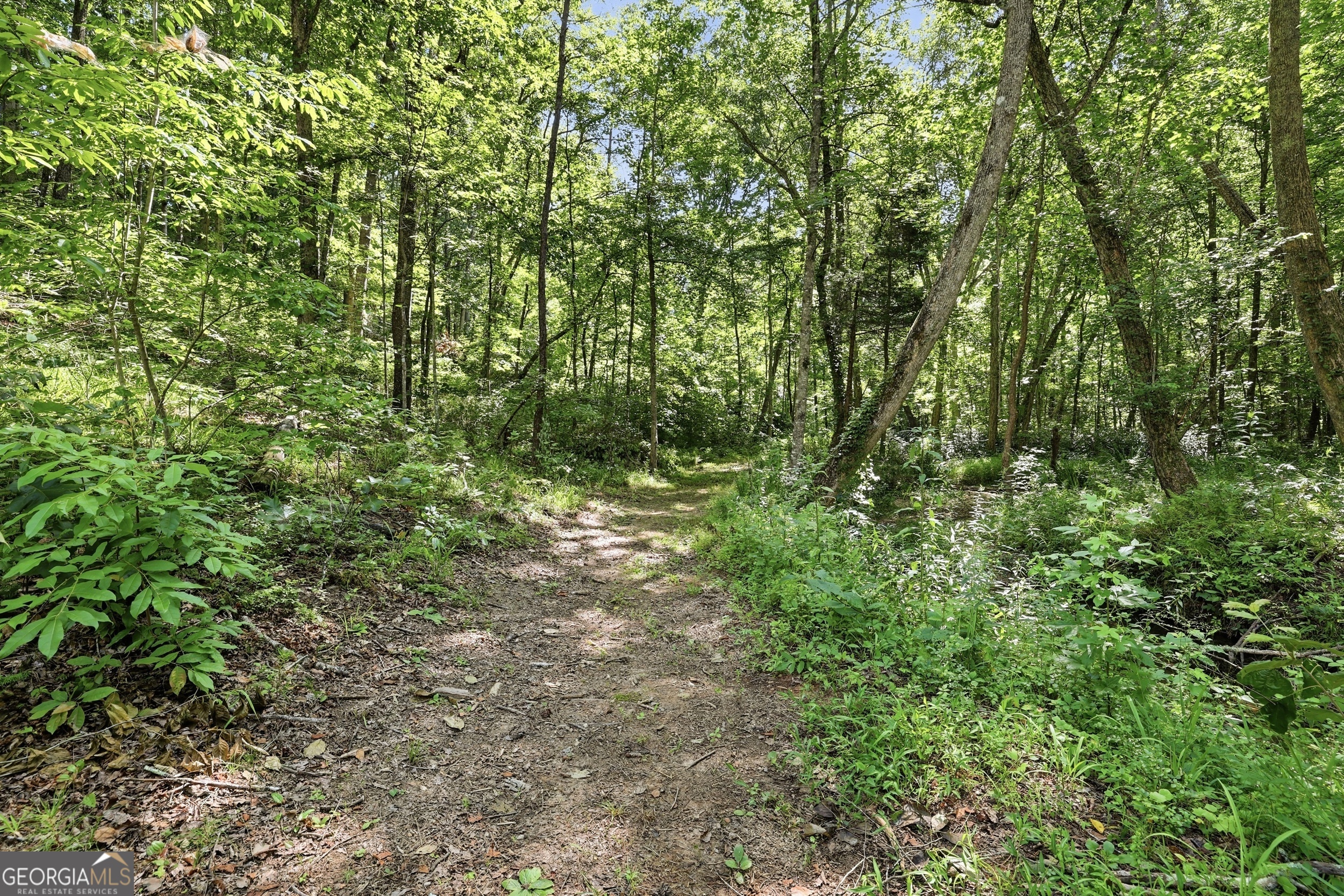 527 Jim Carter Road Clarkesville GA 30523