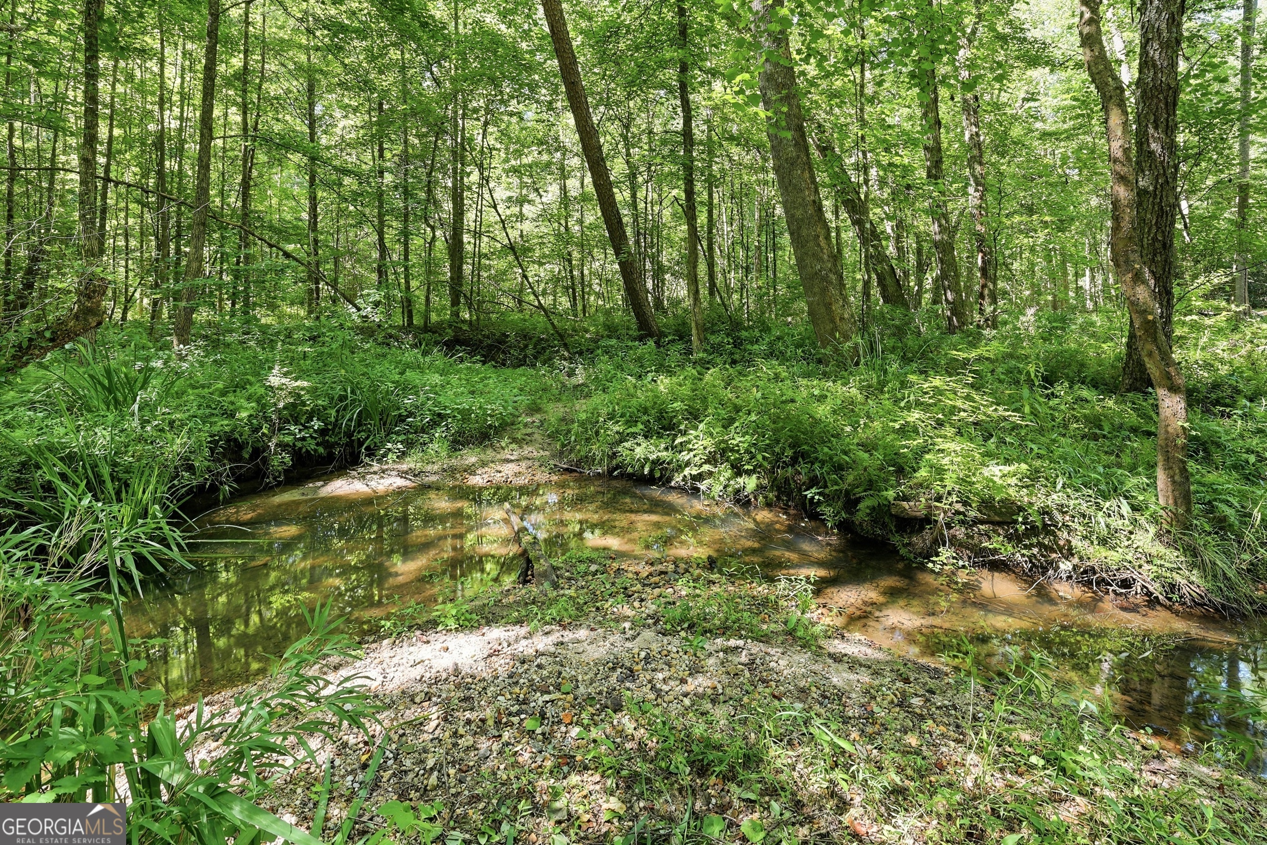 527 Jim Carter Road Clarkesville GA 30523