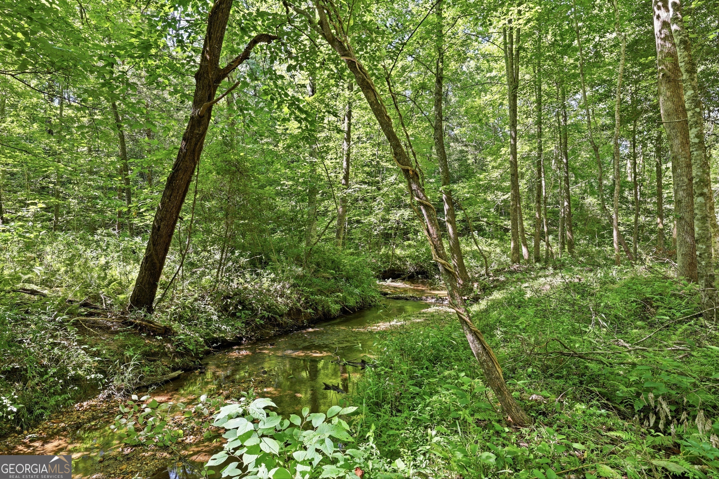 527 Jim Carter Road Clarkesville GA 30523